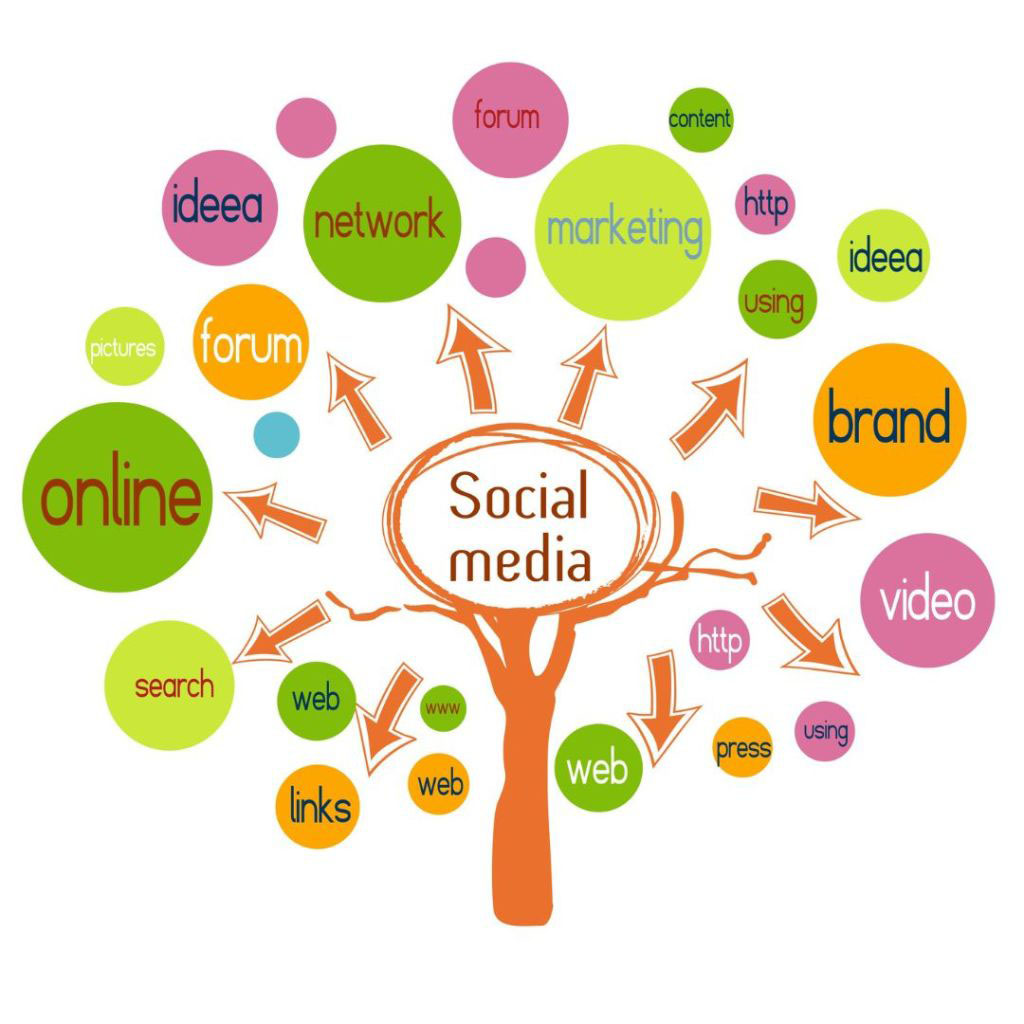 Harnessing the Power of Social Media Growth Strategies