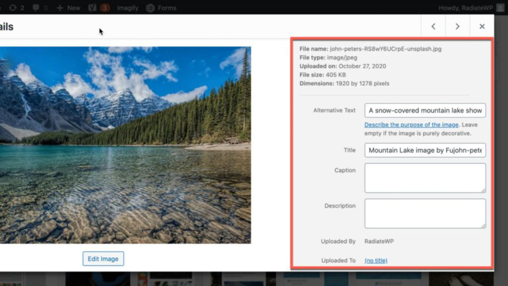 How to Write Effective Image Alt-Text Descriptions