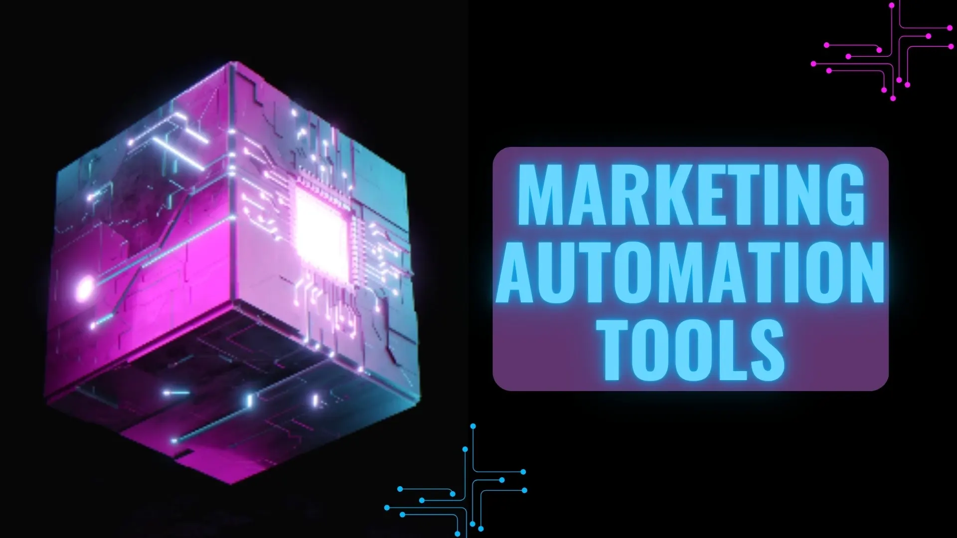 How Marketing Automation Tools Drive More Leads